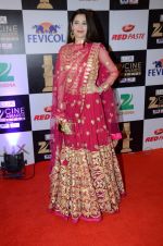 Sasha Agha at zee cine awards 2016 on 20th Feb 2016